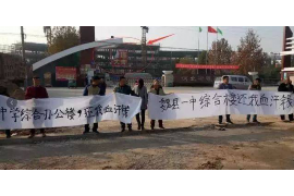 揭西融资清欠服务